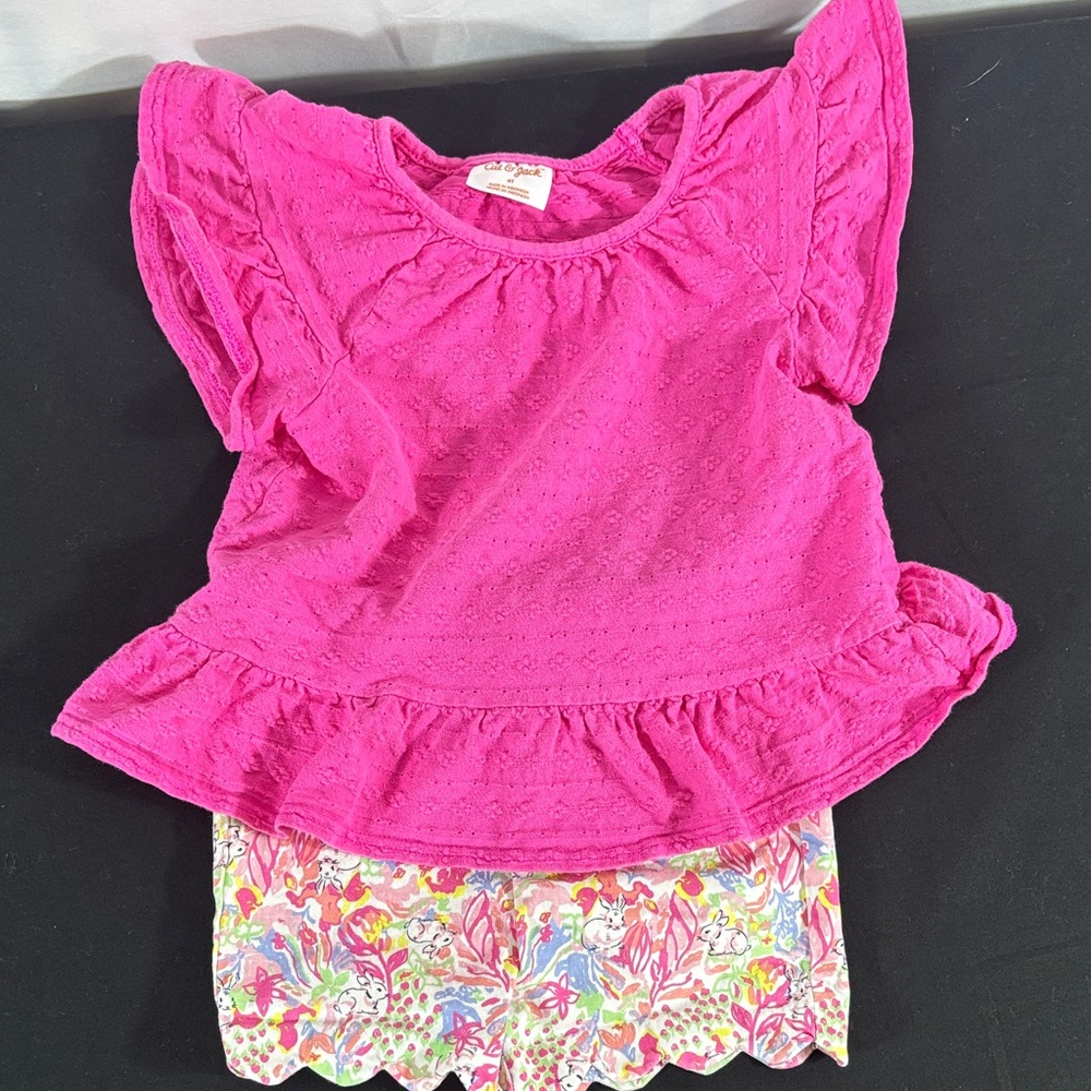 Cat & Jack Girls Pink Top and Crown Ivy Floral Shorts Matching Set